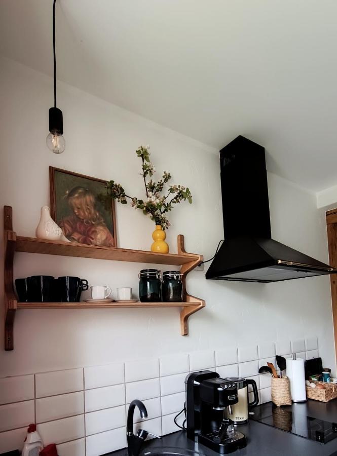 Vintage Anna Apartment Kuldiga Luaran gambar